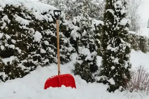 jardin hiver neige