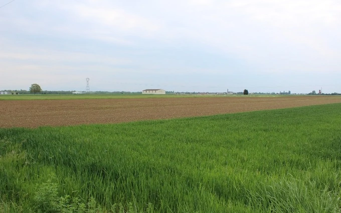 Programme immobilier neuf Raedler à Sainte-Croix-en-Plaine