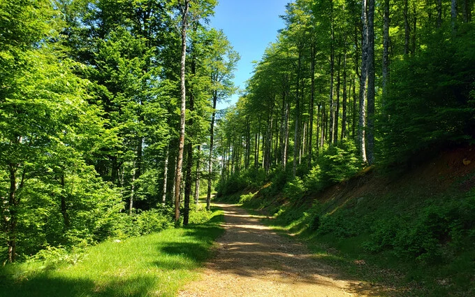 Programme immobilier neuf Maisons 4 pièces à Ustaritz