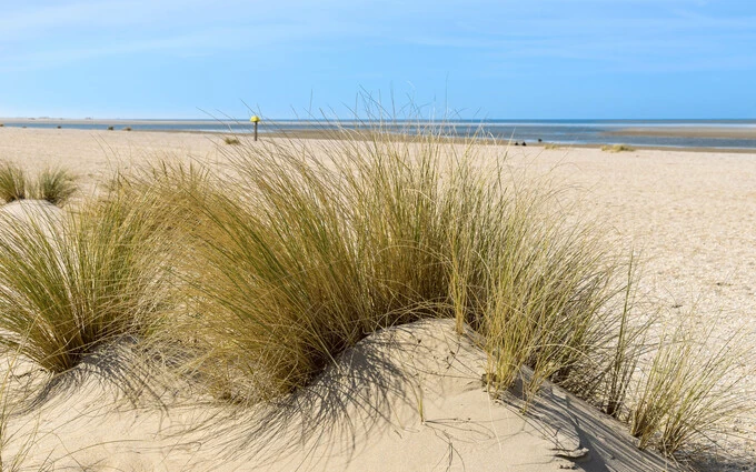 Programme immobilier neuf Appartement à 150m de la plage à Capbreton