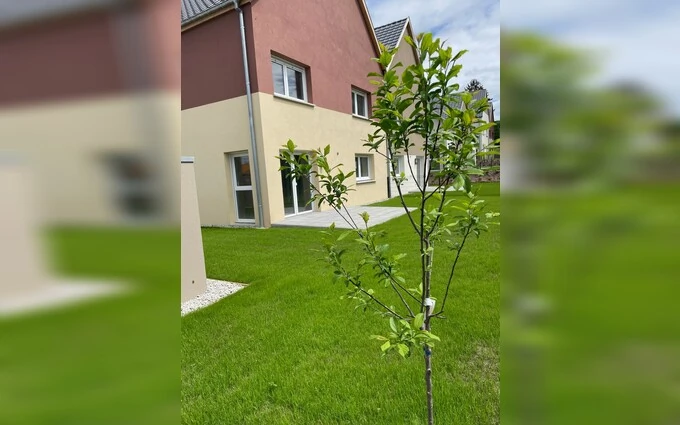 Programme immobilier neuf Les carres sup'herb à Michelbach-le-Bas