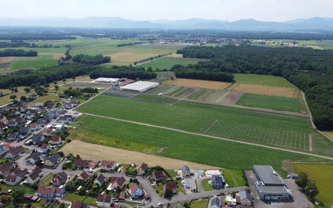 Programme immobilier neuf Gatterfled 1 à Bindernheim