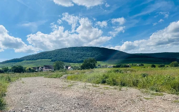 Programme immobilier neuf Le hamo du château à Bergholtz